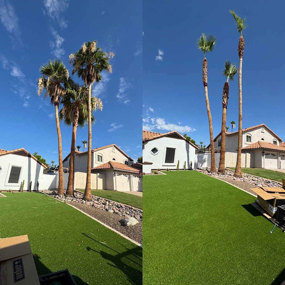 Valle Verde Lawn Care - tree service in Phoenix, AZ