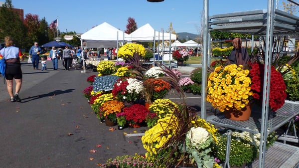 Liberty Lake Farmers Market by null