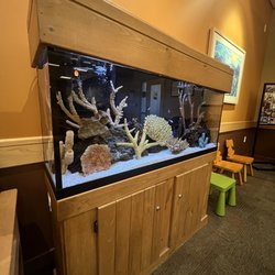 Mercy Medical Group - Rocklin, Primary and Specialty Care