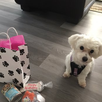 Cottonwood Kennels - Pet Boarding Near Me - Boulder, Colorado