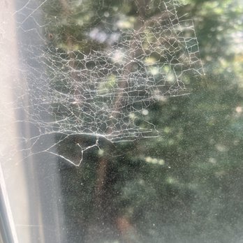 Intempus Property Management - Building windows have not been cleaned in over two years. Sent an email and request for the insect spray schedule. No response. - Real Estate Services Near Me - Saratoga, California Intempus Property Management - Building windows have not been cleaned in over two years. Sent an email and request for the insect spray schedule. No response. - Real Estate Services Near Me - Saratoga, California