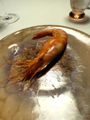 Flores Raras Restaurante (anterior El Poblet) by null