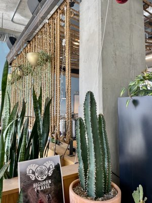 Method Coffee Roasters by null