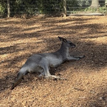 Featherdale Wildlife Park - Parks Near Me - Doonside, NSW Featherdale Wildlife Park - Parks Near Me - Doonside, NSW