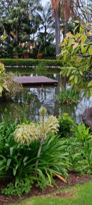 Hotel Botanico & The Oriental Spa Garden by null