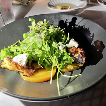 Fin Bistro - Charred octopus - Seafood Near Me - Marco Island, Florida Fin Bistro - Charred octopus - Seafood Near Me - Marco Island, Florida