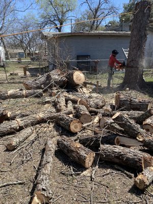 Bayseas Catfish House by null