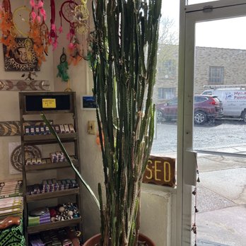 Earthly Awakenings - Cactus! - Leather Goods Near Me - Logan, Utah Earthly Awakenings - Cactus! - Leather Goods Near Me - Logan, Utah