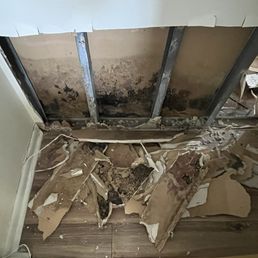 Black mold in the wall of my toddler's bedroom left after Restoration 1 said the work was complete. Black mold in the wall of my toddler's bedroom left after Restoration 1 said the work was complete.