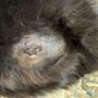 Photo of Volusia Woods Animal Clinic