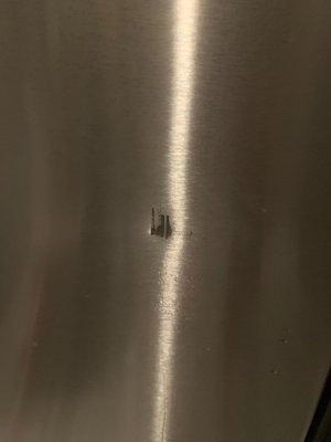 Green Leaf Lotus by null