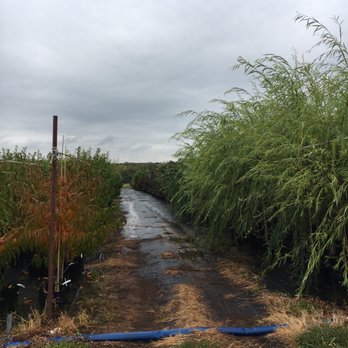 Tree Authority - Tree Authority - Tree Services Near Me - Perkasie, Pennsylvania