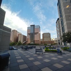 albany new york medical center tratamiento del cáncer de próstata