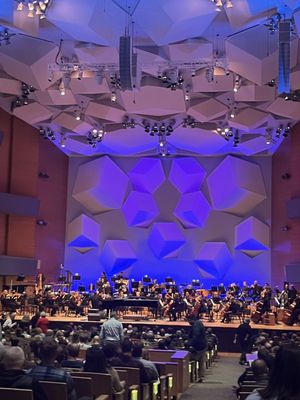 Minnesota Orchestra by null