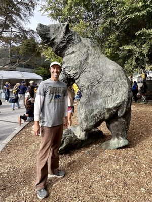 California Memorial Stadium by null