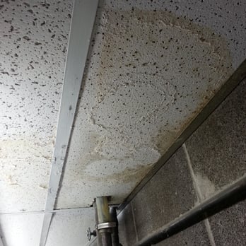 The Michelson Organization - Urine and fecal water seeping into the tile above the laundry facility. Todd put an air freshener here to cover the urine smell. - Apartments Near Me - Saint Louis, Missouri The Michelson Organization - Urine and fecal water seeping into the tile above the laundry facility. Todd put an air freshener here to cover the urine smell. - Apartments Near Me - Saint Louis, Missouri