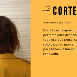 Flor de Origami - Todos los lunes, corte de cabello al 25% de descuento.
