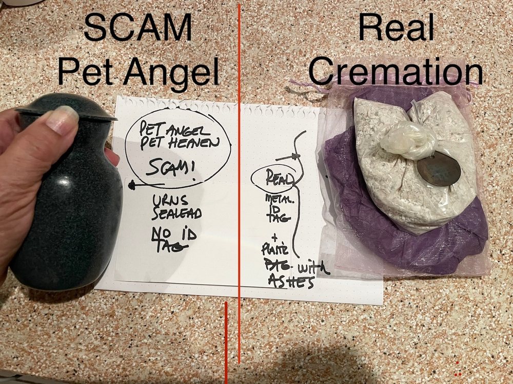 Pet Angel Memorial Center Image