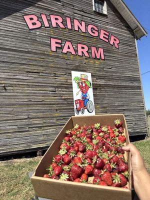 Biringer Farms by null