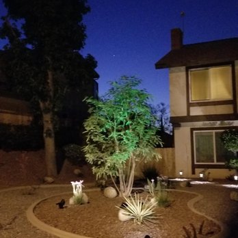 California Rocks - Tipuanda Tree at Night - Artificial Turf Near Me