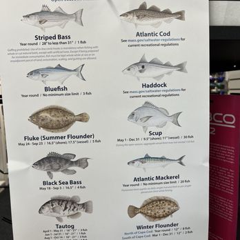 J & J Bait & Tackle - Hunting & Fishing Supplies Near Me - Brockton, Massachusetts J & J Bait & Tackle - Hunting & Fishing Supplies Near Me - Brockton, Massachusetts