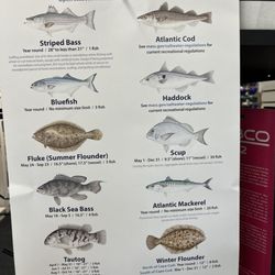 J & J Bait & Tackle