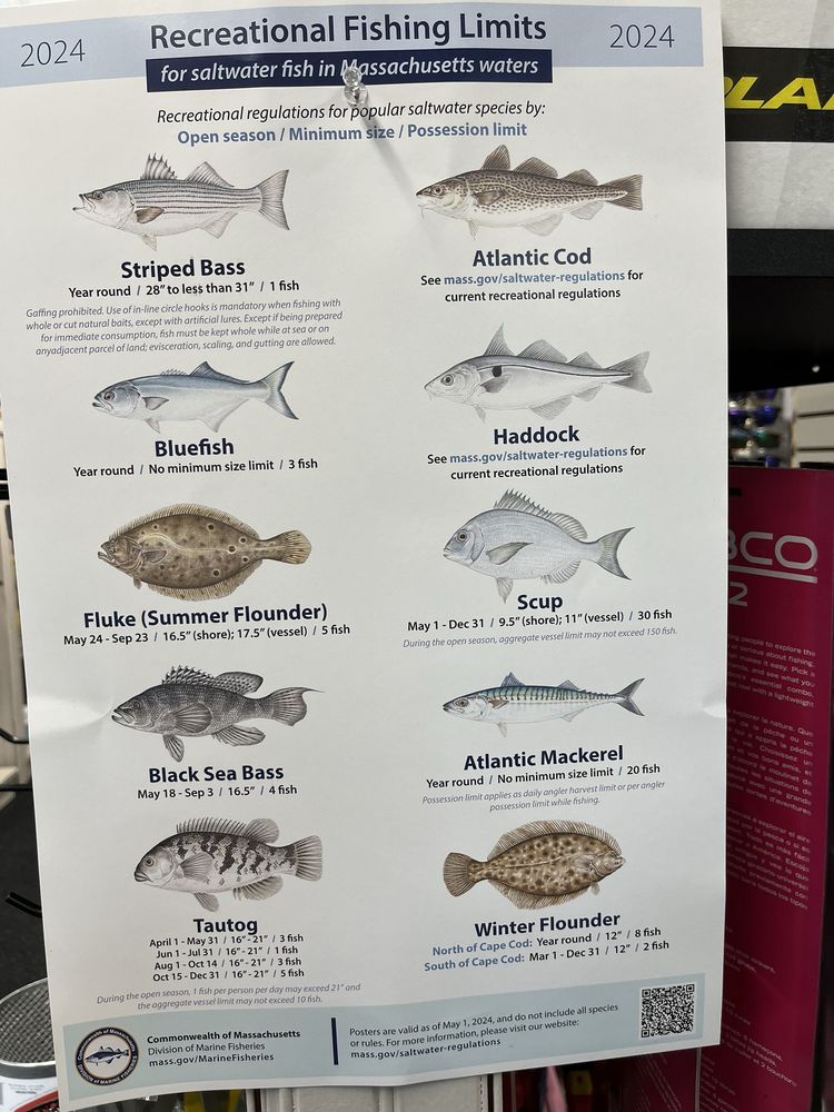 J & J BAIT & TACKLE Updated September 2024 519 Crescent St