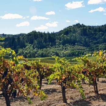 Mounts Family Winery - Wineries Near Me - Healdsburg, California Mounts Family Winery - Wineries Near Me - Healdsburg, California