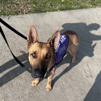 FRONT STREET ANIMAL SHELTER - Updated February 2026 - 475 Photos & 422