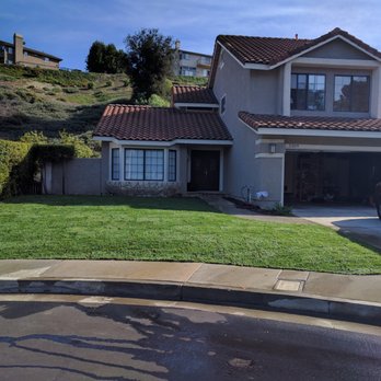 Lawn By Twins - Fresh Marathon sod - Tree Services Near Me Lawn By Twins - Fresh Marathon sod - Tree Services Near Me