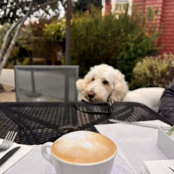 Red House Cafe - Great Cappuccino - Breakfast & Brunch Near Me - Pacific Grove, California Red House Cafe - Great Cappuccino - Breakfast & Brunch Near Me - Pacific Grove, California