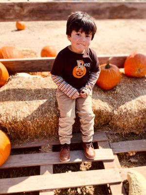 Sweet Eats Adventure Farm & Petting Zoo by null