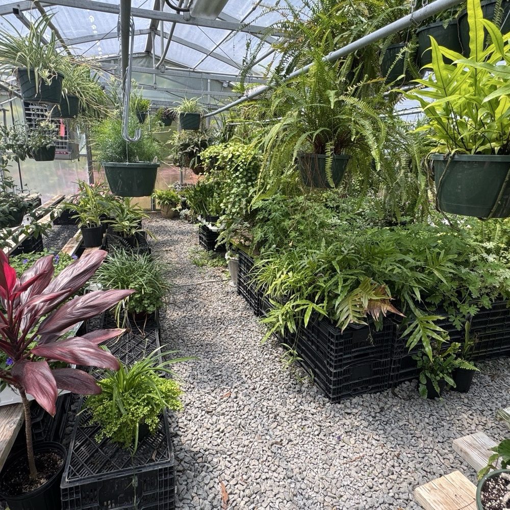 Whispering Springs - Greenhouse - Gardeners Near Me - Jasper, Georgia Whispering Springs - Greenhouse - Gardeners Near Me - Jasper, Georgia