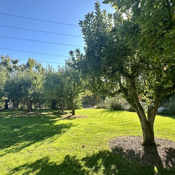 McMenamins Cornelius Pass Roadhouse - Apple Orchard - New American Near Me - Hillsboro, Oregon