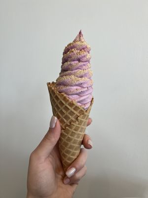 Nico's Ice Cream by null