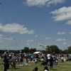 Zilker Park Kite Festival gift card