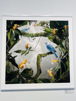 Houston Center For Photography by null