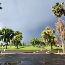 Sun City Country Club - Part of the actual gold course
