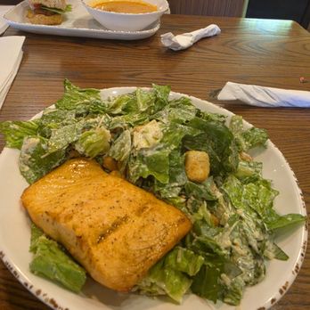 Newk's Eatery - Salmon w/ cease salad - Pizza Near Me - Jacksonville, Florida Newk's Eatery - Salmon w/ cease salad - Pizza Near Me - Jacksonville, Florida