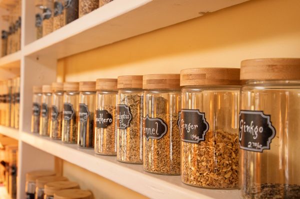 Blazing Lotus Healing House by null