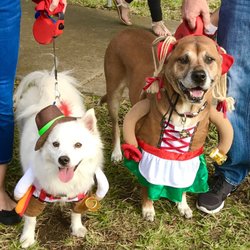 Dogtoberfest