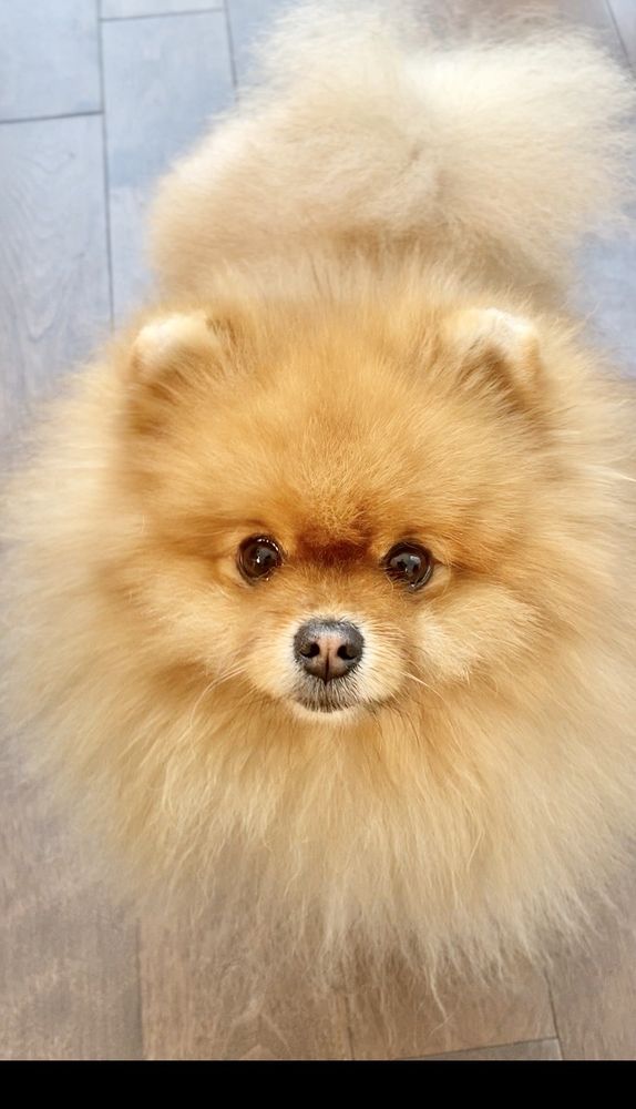 BISCUITS & BATH SUTTON PLACE Updated October 2024 29 Photos & 25