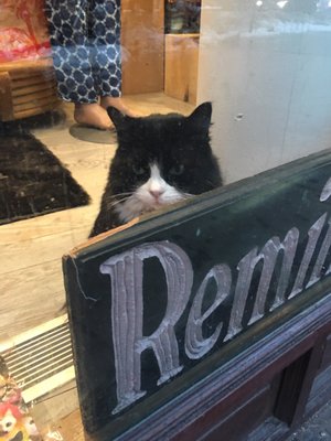 Reminiscence by null