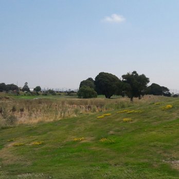 Metropolitan Golf Links - Golf Near Me - Oakland, California Metropolitan Golf Links - Golf Near Me - Oakland, California