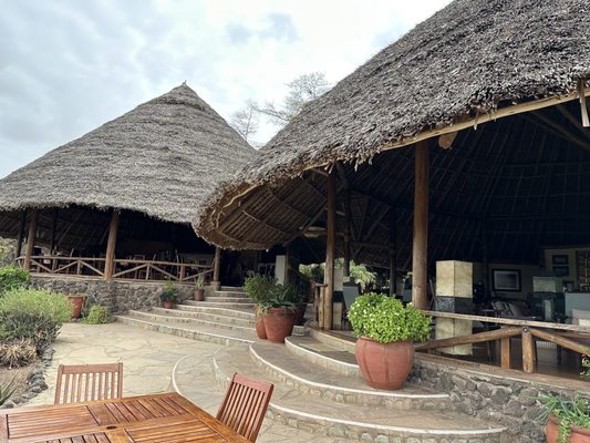 Lion World Travel by null