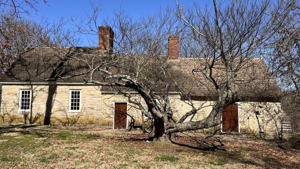 Locust Grove by null