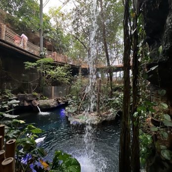 The Dallas World Aquarium - Aquariums Near Me - Dallas, Texas The Dallas World Aquarium - Aquariums Near Me - Dallas, Texas