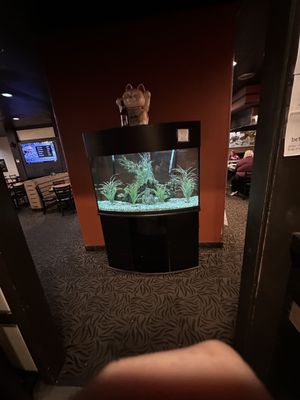 Japanese Kitchen by null