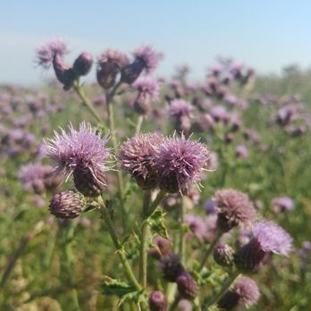 Nose Hill Park - Parks Near Me - Calgary, Alberta
