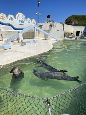 Otaru Aquarium by null